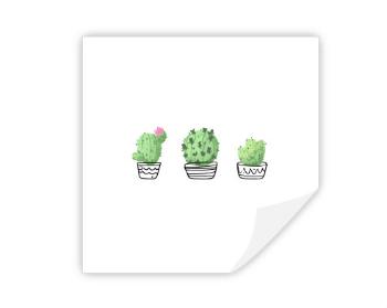 Samolepky hranatý čtverec Kaktusy