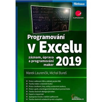 Programování v Excelu 2019: Záznam, úprava a programování maker (978-80-271-3145-7)