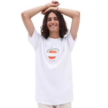 Pánské Tričko VANS PEACHY SS TEE WHITE - L