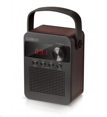 CARNEO F90 FM rádio, bluetooth reproduktor, black/wood