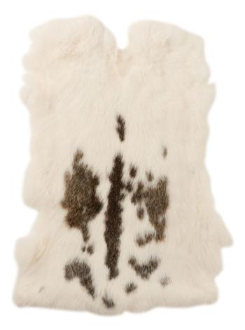 Bílo-hnědá králičí kůže Rabbi -  30*40cm 18701