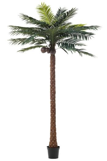 Okrasná palma v květináči Palm - Ø190*350cm 93118