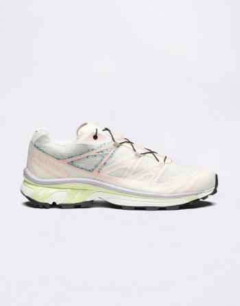 Salomon XT-6 Mindful 3 Vanilla Ice/Cloud Pink/Orchid Petal 39