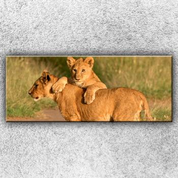 IMPAR Foto na plátno Hrající si lvíčata 1 150x60 cm