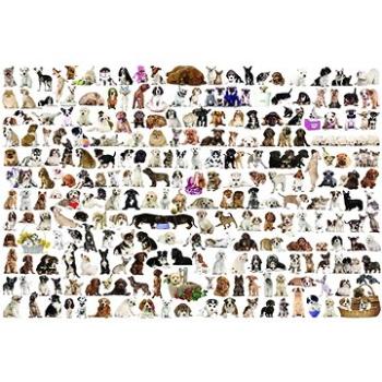 Eurographics Puzzle Svět psů 2000 dílků (628136205818)