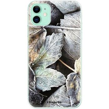 iSaprio Old Leaves 01 pro iPhone 11 (oldle01-TPU2_i11)