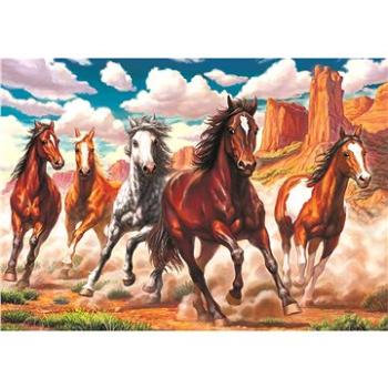 Art Puzzle Divoké koně v údolí 1000 dílků (8697950842242)