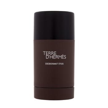 Hermes Terre d´Hermès 75 ml deodorant pro muže deostick