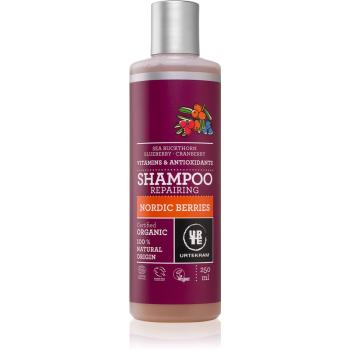 Urtekram Nordic Berries vlasový šampon 250 ml