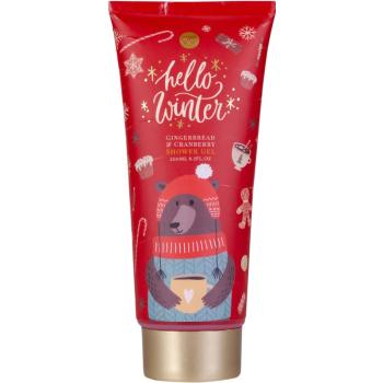 Accentra Hello Winter sprchový gel Gingerbread & Cranberry 200 ml