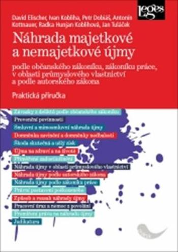 Náhrada majetkové a nemajetkové újmy podle občanského zákoníku, zákoníku práce, v oblasti průmyslového vlastnictví a podle autorského zákona - Praktic