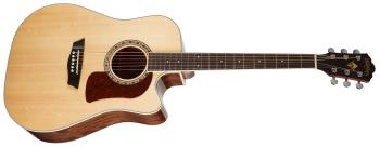 Washburn Heritage HD10SCE-O-U