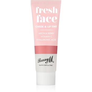 Barry M Fresh Face tekutá tvářenka a lesk na rty odstín Summer Rose 10 ml