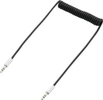 Jack audio kabel SpeaKa Professional SP-7870092, 1.00 m, černá