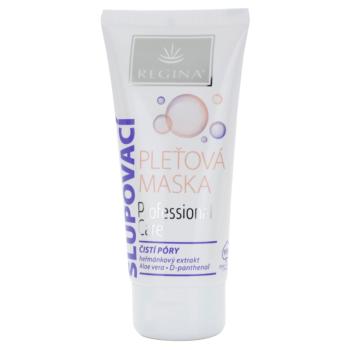 Regina Professional Care čisticí pleťová maska 90 ml