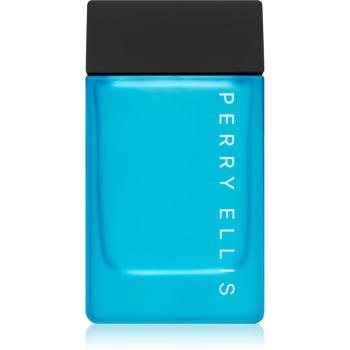 Perry Ellis Pure Blue toaletní voda pro muže 100 ml