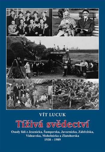 Tíživá svědectví - Lucuk Vít