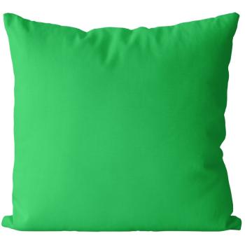 Polštář Zelený světlý (Velikost: 55 x 55 cm)