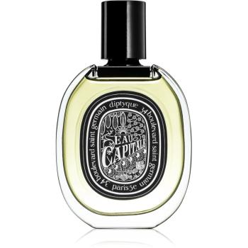 Diptyque Eau Capitale parfémovaná voda unisex 75 ml