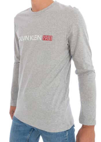 Pánské tričko Calvin Klein NM1705 S Šedá