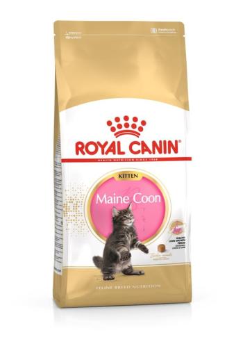 Royal Canin Maine Coon Adult 2 kg