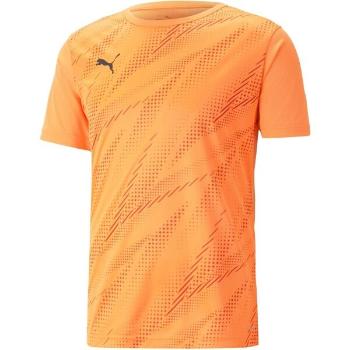 Puma INDIVIDUALRISE GRAPHIC TEE Pánské triko, oranžová, velikost