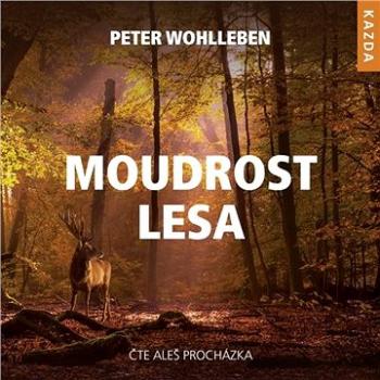 Moudrost lesa ()