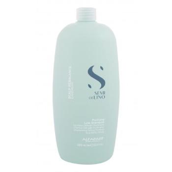 ALFAPARF MILANO Semi Di Lino Scalp Rebalance Purifying 1000 ml šampon pro ženy proti lupům