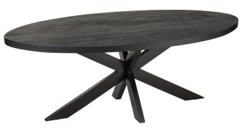 Černý oválný jídelní stůl s deskou z mangového dřeva Gerard Mango - 210*110*76 cm 23914