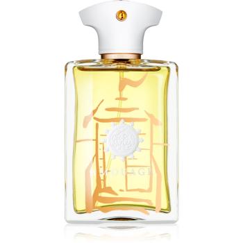 Amouage Beach Hut parfémovaná voda pro muže 100 ml