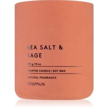 Blomus Fraga Sea Salt & Sag vonná svíčka 290 g