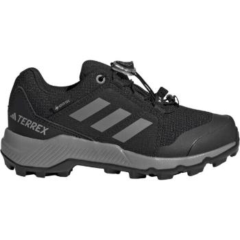 adidas TERREX GTX K Dětská outdoorová obuv, černá, velikost 38