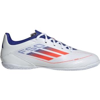 adidas F50 CLUB IN Pánské sálovky, bílá, velikost 40