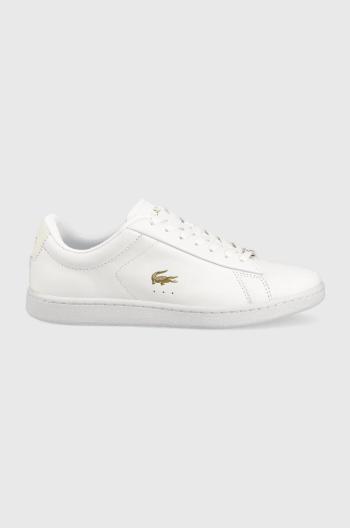 Kožené sneakers boty Lacoste Carnaby bílá barva