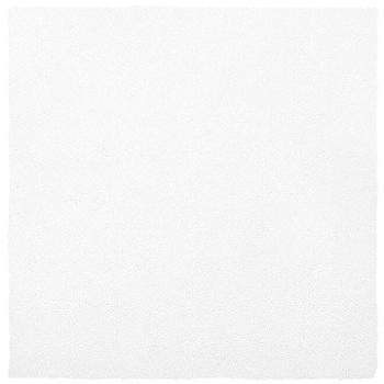 Koberec bílý 200 x 200 cm DEMRE, 122324 (beliani_122324)