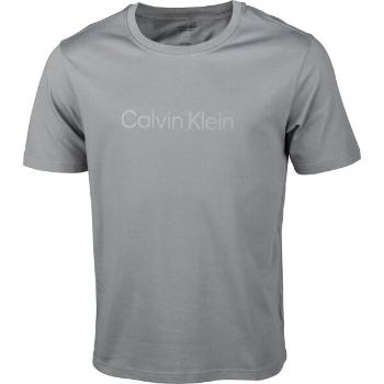 Calvin Klein S/S T-SHIRTS Pánské tričko, šedá, velikost S