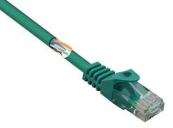 Síťový kabel RJ45 Basetech BT-2348162, CAT 5e, U/UTP, 1.00 m, zelená