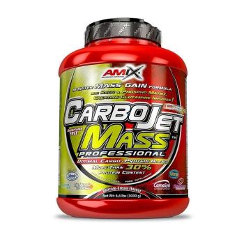 Amix CarboJet Mass Pro 30 Příchuť: Vanilla, Balení(g): 1800g