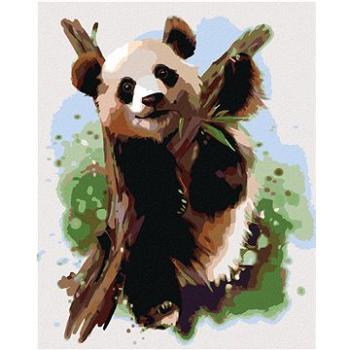 Diamondi - Diamantové malování - PANDA NA VĚTVI, 40x50 cm, Vypnuté plátno na rám (605998B)