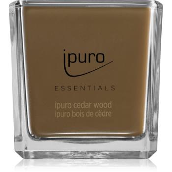 ipuro Essentials Cedar Wood vonná svíčka 125 g