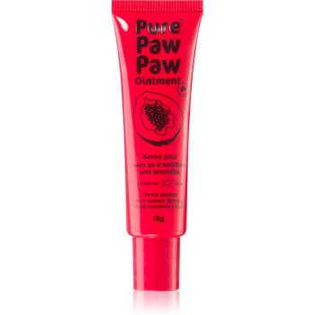 Pure Paw Paw Ointment balzám na rty a suchá místa 15 g