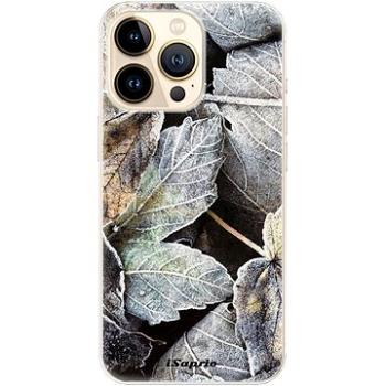 iSaprio Old Leaves 01 pro iPhone 13 Pro Max (oldle01-TPU3-i13pM)