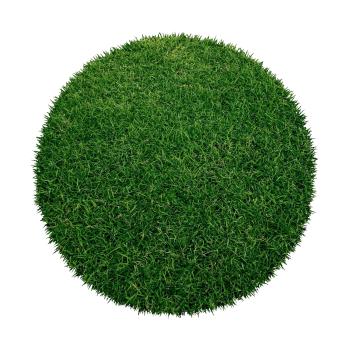 Lano - koberce a trávy Kruhový travní koberec Botanic - 200x200 (průměr) kruh cm Zelená