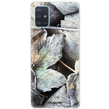 iSaprio Old Leaves 01 pro Samsung Galaxy A51 (oldle01-TPU3_A51)