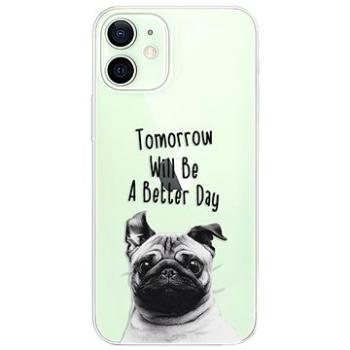 iSaprio Better Day pro iPhone 12 (betday01-TPU3-i12)