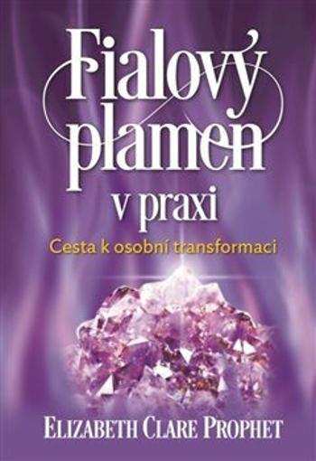 Fialový plamen v praxi - Elizabeth Clare Prophetová