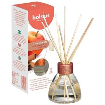 BOLSIUS True Scents Difuzér Apple Cinnamon 45 ml (8717847151698)