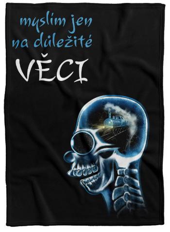 Deka Důležité věci (Podšití beránkem: NE)