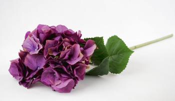 Dekorace fialová hortenzie velkokvětá  - 80 cm 099-19-211
