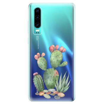 Odolné silikonové pouzdro iSaprio - Cacti 01 - Huawei P30